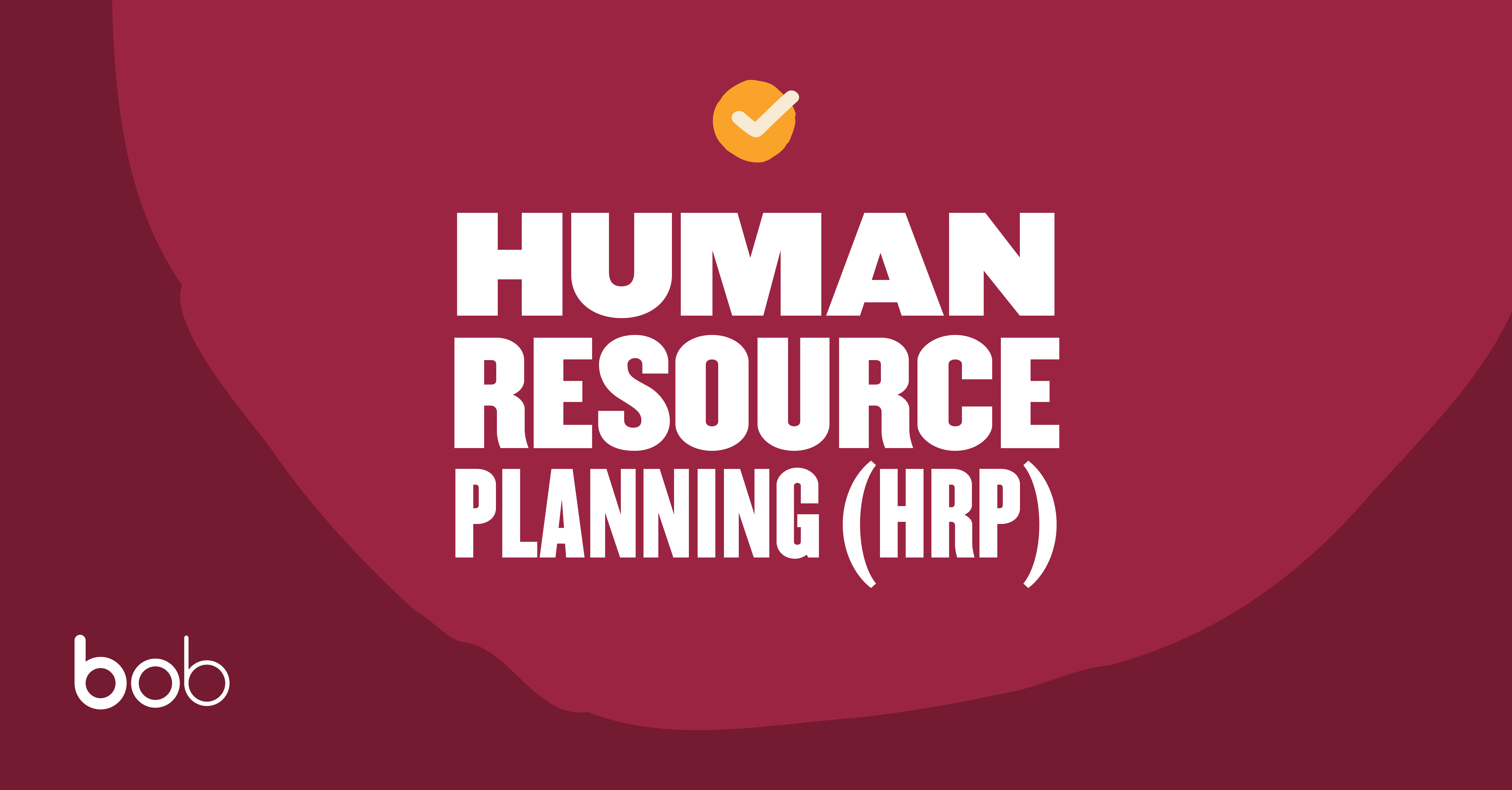 Re)Alignment of Human Resources Value: A Case Study