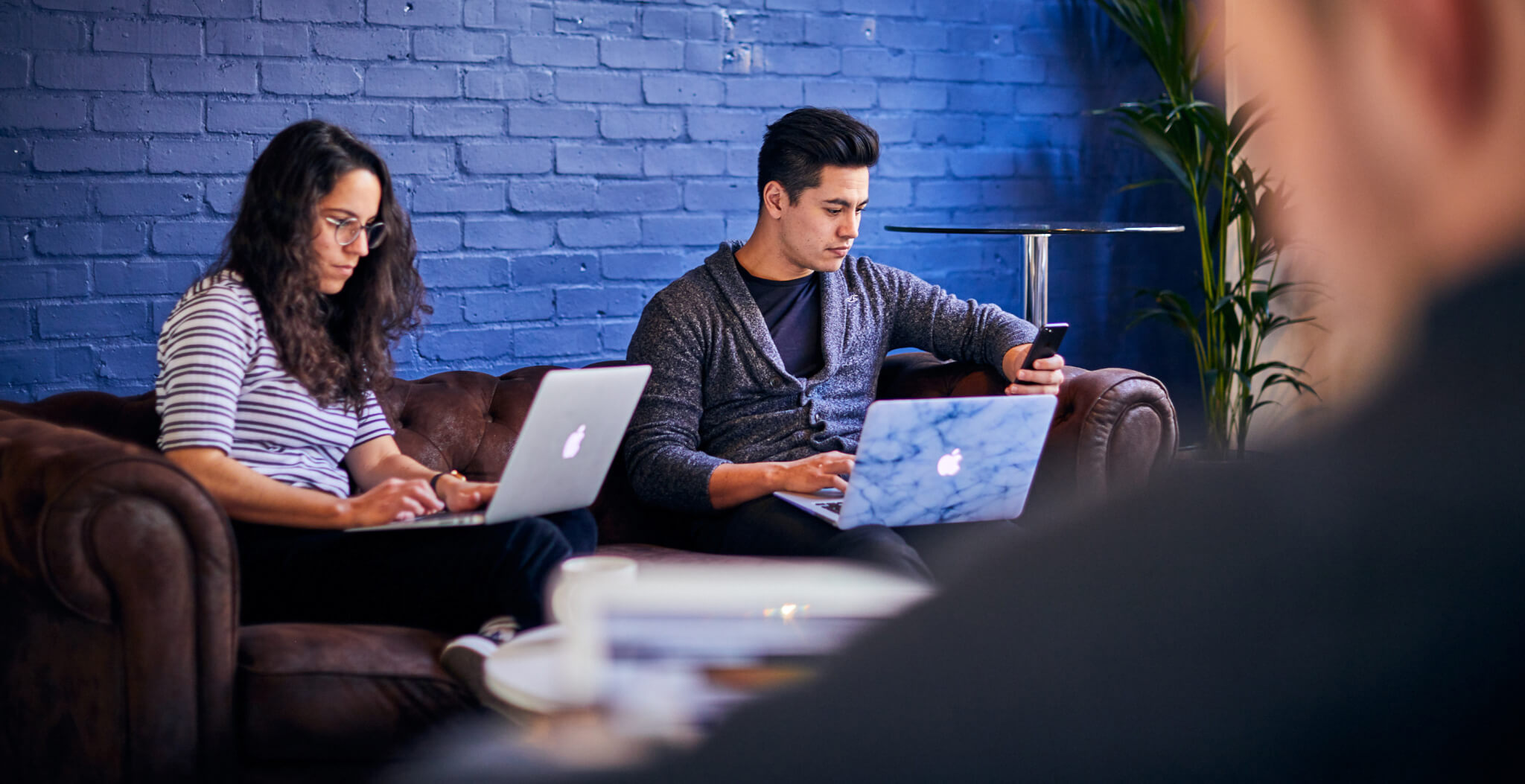young professionals working on laptops in a modern cafe with blue brick walls and leather couch, focused individuals using technology