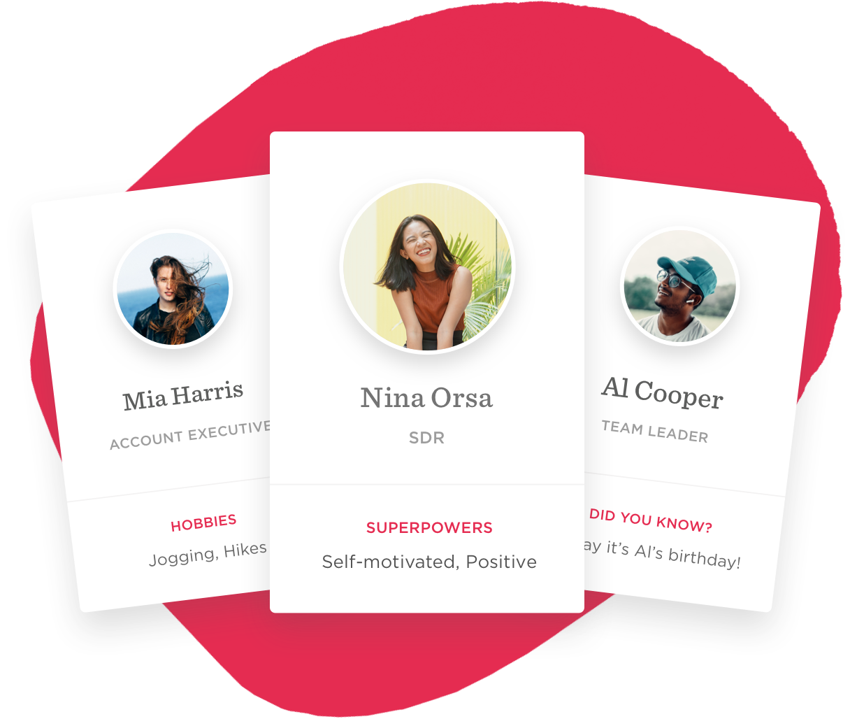 Mia Harris, Nina Orsa, and Al Cooper's profiles highlight roles, hobbies, and fun facts., Team profiles with images, roles, and hobbies showcased.