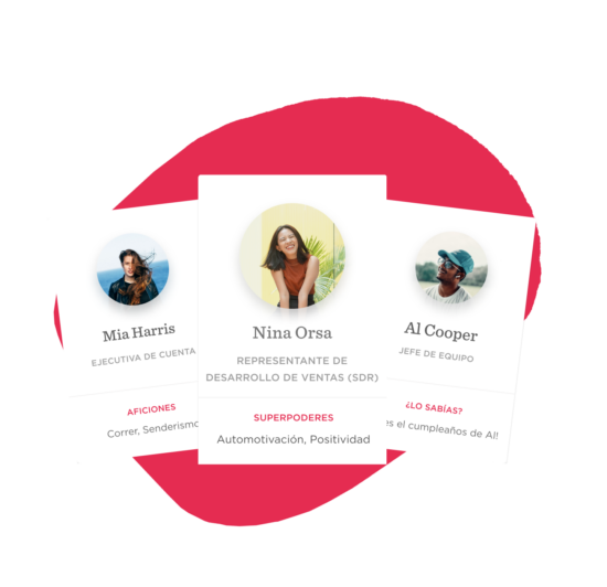 profile-cards, team-members