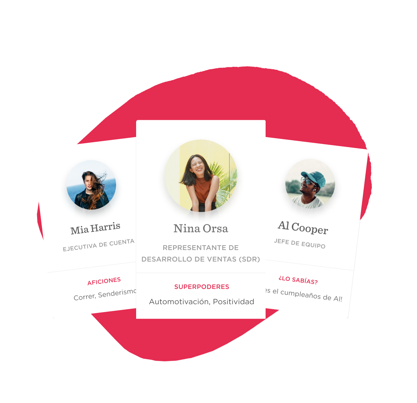 profile-cards, team-members