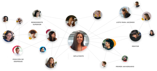 influencer, team-connection-visualization