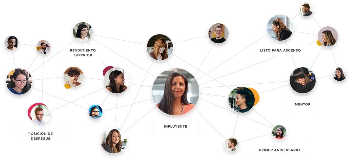 influencer, team-connection-visualization