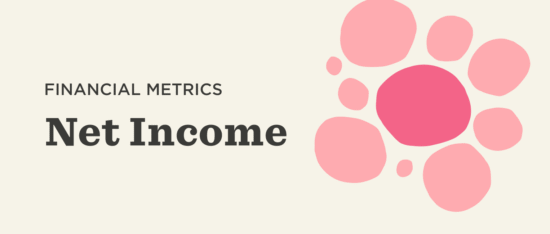financial metrics, net income with pink circles on a light background highlighting financial summary elements