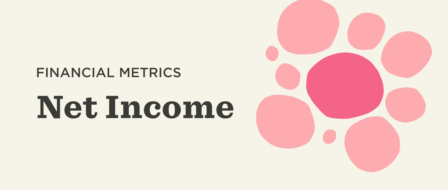 financial metrics, net income with pink circles on a light background highlighting financial summary elements