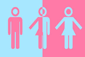 Hibob rolls out non-binary gender promoting platform Hibob rolls out non-binary gender promoting platform