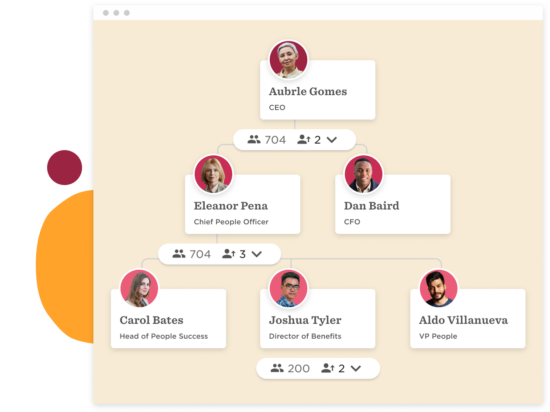 organization-chart, leadership-team-structure