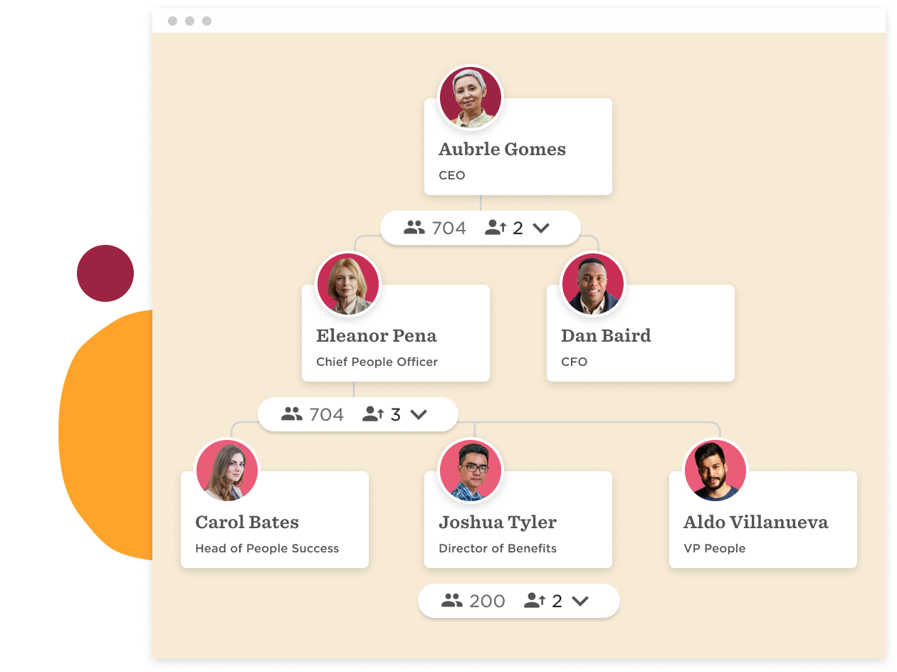organization-chart, leadership-team-structure