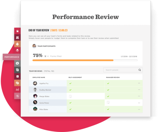 performance review dashboard, team participants progress and assessments overview