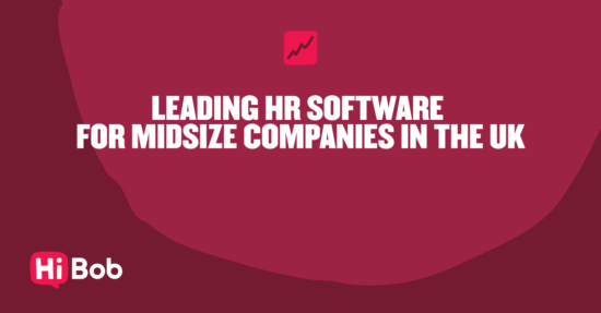 leading HR software for midsize companies in the UK, Hi Bob branding logo in a bold graphic design